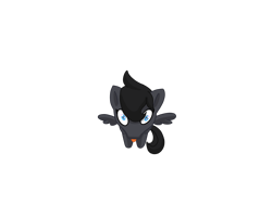 Size: 3200x2400 | Tagged: safe, artist:eklipsethepony, oc, oc only, oc:eklipse, pegasus, pony, :p, big eyes, big head, cute, high res, meme, ponified, ponified animal photo, ponified meme, simple background, smol, solo, tongue out, transparent background