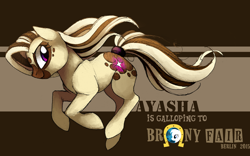 Size: 800x500 | Tagged: safe, artist:ayasha-the-pony, oc, oc:ayasha, earth pony, pony, brony fair, brony fair 2015, female, mare, solo