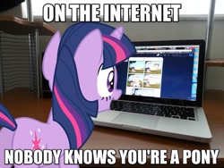 Size: 639x480 | Tagged: safe, artist:mlpmemearchive, twilight sparkle, pony, unicorn, g4, butt, caption, computer, female, image macro, irl, laptop computer, looking at something, mare, meme, photo, plot, ponies in real life, solo, text, unicorn twilight