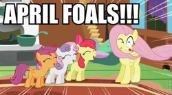 Size: 600x334 | Tagged: safe, artist:mlpmemearchive, edit, edited screencap, screencap, apple bloom, fluttershy, scootaloo, sweetie belle, earth pony, pegasus, pony, g4, season 1, stare master, caption, eyes closed, female, filly, foal, gritted teeth, group, image macro, mare, one eye closed, open mouth, open smile, smiling, speed lines, teeth, text, windswept mane, yelling