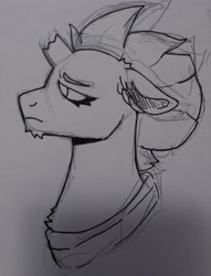 Size: 2382x3112 | Tagged: safe, artist:spicyybreadd, tempest shadow, pony, unicorn, g4, broken horn, chin fluff, floppy ears, high res, horn, monochrome, profile, solo, traditional art