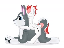 Size: 1280x960 | Tagged: safe, artist:cuddle_cruise, oc, oc:swift apex, pegasus, pony, hug, inflatable, inflatable husky, inflatable toy, puffypaws, riding, solo, straddling