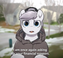 Size: 2093x1926 | Tagged: safe, artist:selenophile, oc, oc only, oc:seleno, pegasus, pony, bernie sanders, clothes, exploitable meme, hat, hoodie, looking at you, male, meme, open mouth, pegasus oc, solo, stallion, text