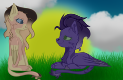 Size: 5400x3500 | Tagged: safe, artist:thecommandermiky, oc, oc only, oc:miky command, oc:reagan, hybrid, pegasus, pony, chest fluff, cloud, couple, duo, duo female, female, grass, grass field, happy, hybrid oc, lesbian, long tail, looking at each other, looking at someone, mare, pegasus oc, purple hair, purple mane, shipping, sky, smiling, smiling at each other, spots, spread wings, sunset, tail, wings