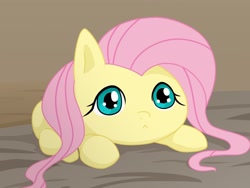 Size: 2048x1536 | Tagged: safe, artist:batipin, fluttershy, pegasus, pony, g4, :<, behaving like a cat, cute, female, looking at you, mare, shyabetes, smol, solo