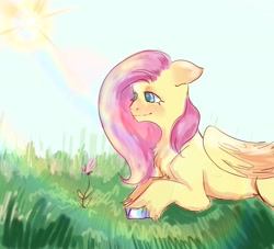 Size: 2048x1856 | Tagged: safe, artist:sleepybooo, fluttershy, pegasus, pony, g4, female, flower, solo