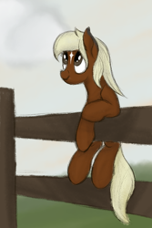 Size: 600x900 | Tagged: safe, artist:ahorseofcourse, earth pony, pony, fence, looking up, smiling, solo, verity