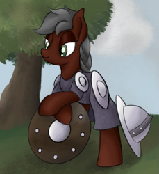 Size: 1361x1484 | Tagged: safe, artist:ahorseofcourse, oc, oc only, earth pony, pony, armor, female, guardsmare, mare, ponerpics import, royal guard, shield, solo