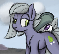 Size: 1296x1198 | Tagged: safe, artist:ahorseofcourse, limestone pie, marble pie, earth pony, pony, g4, female, mare, ponerpics import, siblings, sisters