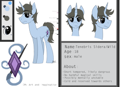 Size: 1280x897 | Tagged: safe, artist:thevixvix, oc, oc only, oc:tenebris sidera, pony, unicorn, male, reference sheet, simple background, solo, stallion, transparent background