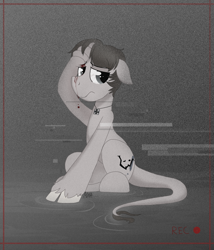 Size: 1280x1493 | Tagged: safe, artist:thevixvix, oc, oc only, pony, sitting, solo