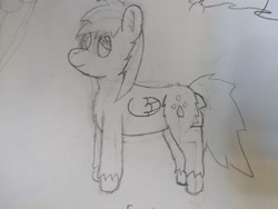 Size: 4608x3456 | Tagged: safe, artist:acid flask, derpy hooves, pony, g4, 2d, fluffy, paper, sketch, sketch dump, sketchbook, traditional art