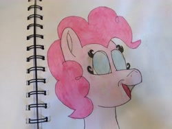 Size: 4608x3456 | Tagged: safe, artist:acid flask, pinkie pie, earth pony, pony, g4, 2d, art dump, happy, looking at you, paint, paper, sketch, sketch dump, sketchbook, smiling, smiling at you, traditional art