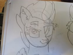 Size: 4608x3456 | Tagged: safe, artist:acid flask, zipp storm, pegasus, pony, g5, 2d, art dump, ear fluff, eyebrows, female, graphite drawing, looking at you, looking up, mare, paper, raised eyebrow, sketch, sketch dump, sketchbook, smiling, smirk, solo, traditional art