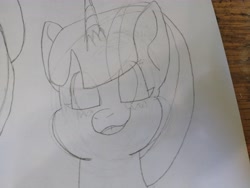 Size: 4608x3456 | Tagged: safe, artist:acid flask, twilight sparkle, alicorn, pony, g4, 2d, art dump, female, graphite drawing, looking at you, mare, paper, sketch, sketch dump, sketchbook, smiling, smiling at you, solo, traditional art