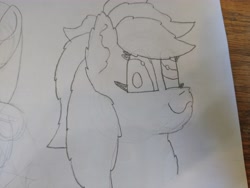 Size: 4608x3456 | Tagged: safe, artist:acid flask, derpy hooves, pony, g4, 2d, art dump, chest fluff, ear fluff, female, fluffy, graphite drawing, looking at you, looking back, looking back at you, mare, paper, sketch, sketch dump, sketchbook, smiling, solo, traditional art