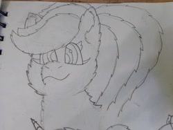 Size: 4608x3456 | Tagged: safe, artist:acid flask, rainbow dash, pegasus, pony, g4, 2d, art dump, chest fluff, ear fluff, female, fluffy, graphite drawing, looking at you, mare, paper, ponytail, sketch, sketch dump, sketchbook, smiling, traditional art