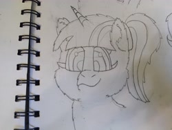 Size: 4608x3456 | Tagged: safe, artist:acid flask, twilight sparkle, alicorn, pony, g4, 2d, art dump, female, fluffy, graphite drawing, looking at you, mare, paper, ponytail, sketch, sketch dump, sketchbook, smiling, smiling at you, solo, traditional art