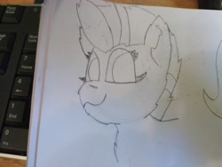 Size: 4608x3456 | Tagged: safe, artist:acid flask, zipp storm, pegasus, pony, g5, 2d, art dump, chest fluff, ear fluff, female, fluffy, graphite drawing, looking at you, looking back, looking back at you, mare, paper, sketch, sketch dump, sketchbook, smiling, smiling at you, traditional art