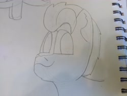 Size: 4608x3456 | Tagged: safe, artist:acid flask, hitch trailblazer, earth pony, pony, g5, 2d, art dump, graphite drawing, happy, looking at you, male, paper, sketch, sketch dump, sketchbook, smiling, smiling at you, solo, stallion, traditional art