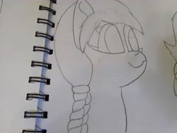 Size: 4608x3456 | Tagged: safe, artist:acid flask, sunny starscout, earth pony, pony, g5, 2d, art dump, braid, female, graphite drawing, happy, mare, paper, sketch, sketch dump, sketchbook, smiling, solo, traditional art