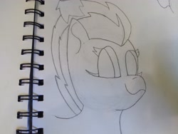 Size: 4608x3456 | Tagged: safe, artist:acid flask, spitfire, pony, g4, 2d, art dump, female, graphite drawing, happy, looking at you, mare, paper, sketch, sketch dump, sketchbook, smiling, smiling at you, solo, traditional art