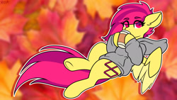 Size: 1920x1080 | Tagged: safe, artist:koapony, oc, oc only, oc:koa, pegasus, pony, clothes, coffee, colored wings, colored wingtips, eye clipping through hair, eyebrows, eyebrows visible through hair, hoodie, looking at you, solo, spread wings, two toned wings, underhoof, wings