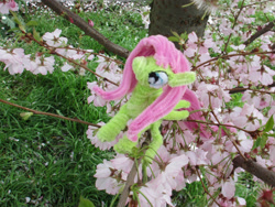 Size: 2684x2013 | Tagged: safe, alternate version, artist:malte279, part of a set, fluttershy, pony, g4, chenille, chenille stems, chenille wire, cherry blossoms, craft, flower, flower blossom, high res, irl, part of a series, photo, pipe cleaner sculpture, pipe cleaners