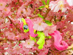 Size: 2799x2099 | Tagged: safe, artist:malte279, part of a set, fluttershy, pony, g4, chenille, chenille stems, chenille wire, cherry blossoms, climbing, craft, flower, flower blossom, high res, irl, part of a series, photo, pipe cleaner sculpture, pipe cleaners