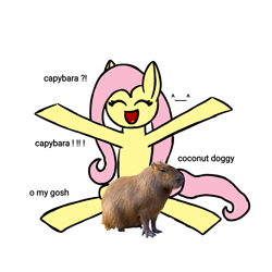Size: 1080x1080 | Tagged: safe, artist:itzf1ker1, fluttershy, capybara, pegasus, pony, g4, :d, eyes closed, happy, open mouth, open smile, smiling, yay