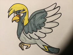 Size: 900x675 | Tagged: safe, artist:tigeressbird324, derpy hooves, bird, pigeon, g4, birdified, female, marker drawing, solo, species swap, traditional art