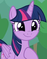 Size: 792x983 | Tagged: safe, screencap, twilight sparkle, alicorn, pony, g4, season 9, the ending of the end, adorkable, cropped, cute, dork, female, folded wings, happy, hoof on chest, mare, proud, smiling, solo, twiabetes, twilight sparkle (alicorn), victory, wings