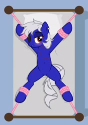 Size: 1536x2166 | Tagged: safe, artist:equestria secret guard, oc, oc only, oc:miss yin, oc:银小姐, earth pony, pony, armpits, bed, bedroom eyes, belly button, blushing, bondage, earth pony oc, eye scar, eyepatch, facial scar, featureless crotch, female, happy, happy bondage, helpless, looking at you, lying down, mare, on back, on bed, rope, rope bondage, scar, sexy, show accurate, solo, spread eagle, spread legs, spreading, tied to bed, tied up