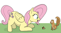 Size: 4443x2416 | Tagged: safe, artist:doodledonutart, fluttershy, pegasus, pony, squirrel, g4, acorn, cute, duo, high res, looking at each other, looking at someone, open mouth, open smile, shyabetes, simple background, smiling, white background
