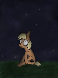 Size: 768x1024 | Tagged: safe, artist:helpilostmysonic, oc, oc only, oc:forty winks, earth pony, pony, grass, looking up, night, ribs, sitting, skinny, solo, stars, thin