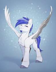 Size: 2077x2667 | Tagged: safe, artist:dorkmark, oc, oc only, pegasus, pony, abstract background, beard, blue background, chest fluff, colored wings, facial hair, high res, male, scar, solo, tail, two toned mane, two toned tail, two toned wings, wings