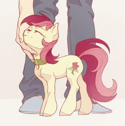 Size: 1707x1721 | Tagged: safe, artist:miss_glowwormis, roseluck, earth pony, human, pony, g4, behaving like a cat, collar, commission, commissioner:doom9454, cute, duo, eyes closed, faceless human, human on pony petting, offscreen character, pet tag, petting, pony pet, rosepet, simple background, white background