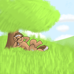 Size: 2048x2048 | Tagged: source needed, safe, artist:zugatti69, oc, oc only, pegasus, pony, brown hair, brown mane, brown tail, cute, cute face, cute smile, eyes closed, grass, grass field, grey hair, high res, lying down, male, relaxing, signature, smiling, solo, tail, tree, under the tree