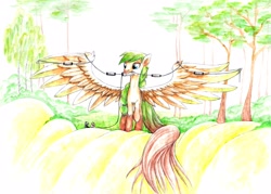 Size: 2560x1828 | Tagged: safe, artist:freeponypictures, oc, oc only, pegasus, pony, antenna, dipole, female, giant pony, ham radio, macro, mare, mouth hold, radio, spread wings, trap dipole, tree, wings, wire antenna