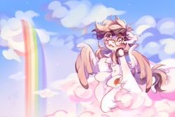 Size: 2048x1365 | Tagged: safe, artist:vanilla-chan, oc, oc only, pegasus, pony, cloud, commission, glasses, on a cloud, open mouth, rainbow, rainbow waterfall, sitting, sitting on a cloud, solo, spread wings, wings