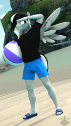 Size: 1080x1920 | Tagged: safe, artist:ray cyber tech, oc, oc:sound shock, pegasus, anthro, plantigrade anthro, 3d, anthro oc, beach, beach ball, clothes, flip flops, male, sandals, shirt, shoes, shorts, solo, watermark