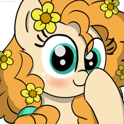 Size: 2048x2048 | Tagged: safe, artist:super-dead, pear butter, earth pony, pony, g4, blushing, boop, female, flower, high res, hooves on face, looking at you, self-boop, simple background, solo, white background