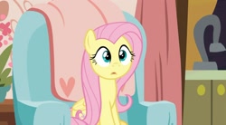 Size: 2160x1196 | Tagged: safe, screencap, fluttershy, pegasus, pony, discordant harmony, g4, chair, curtains, folded wings, kitchen, kitchen sink, living room, plant, sink, sitting, solo, surprised, wings