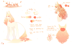 Size: 4268x2633 | Tagged: safe, artist:prettyshinegp, oc, oc only, oc:pretty shine, pony, bust, female, flower, flower in hair, leonine tail, long legs, mare, reference sheet, simple background, solo, tail, tall, white background