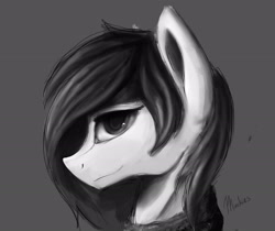 Size: 2325x1951 | Tagged: safe, artist:minckies, oc, oc only, earth pony, pony, bust, earth pony oc, grayscale, monochrome, signature, solo