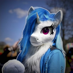 Size: 1999x1999 | Tagged: safe, artist:essorille, artist:vinylpone, dj pon-3, vinyl scratch, human, unicorn, anthro, g4, arm hooves, blue mane, blurry background, chest fluff, clothes, cosplay, costume, cute, equine, female, furry, fursuit, gloves, hoodie, hooves, irl, irl human, looking at you, mare, outdoors, photo, photography, ponysuit, pose, posing for photo, public, purple eyes, ruffled hair, tree