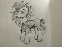 Size: 4080x3072 | Tagged: safe, artist:danremixxx, oc, oc only, earth pony, pony, concave belly, pencil drawing, photo, sketch, solo, standing, traditional art, unamused