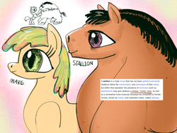 Size: 4000x3000 | Tagged: safe, artist:ja0822ck, oc, oc only, earth pony, pony, duo, female, long neck, male, mare, necc, physique difference, side view, stallion, thick, wikipedia