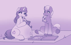 Size: 1788x1137 | Tagged: safe, artist:bumpywish, izzy moonbow, sprout cloverleaf, earth pony, pony, unicorn, g5, belly, belly button, big belly, commissioner:puffydearlysmith, duo, eating, female, food, izzy mombow, izzysprout, male, mare, monochrome, outie belly button, picnic blanket, pizza, pregnant, shipping, stallion, straight, underhoof, unshorn fetlocks