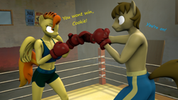 Size: 1920x1080 | Tagged: safe, artist:fuzeamateursfm, part of a set, spitfire, oc, oc:chocolate chips, earth pony, pegasus, anthro, g4, 3d, anthro oc, belly button, boxing, boxing gloves, boxing ring, canon x oc, dialogue, duo, duo male and female, female, firechips, male, shipping, source filmmaker, sports, straight, text